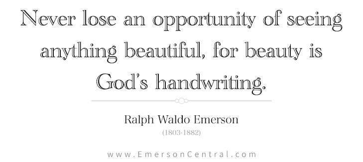 Never lose an opportunity of seeing anything beautiful, for beauty is God’s handwriting.