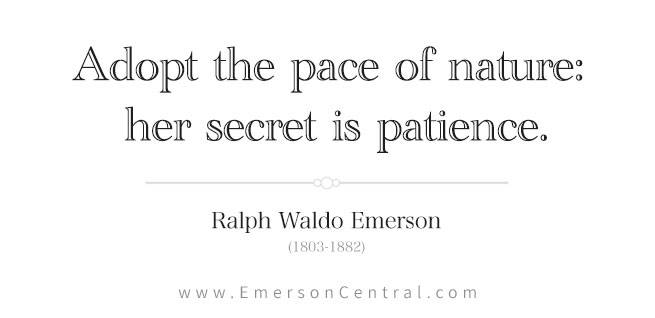 Adopt the pace of nature: her secret is patience.